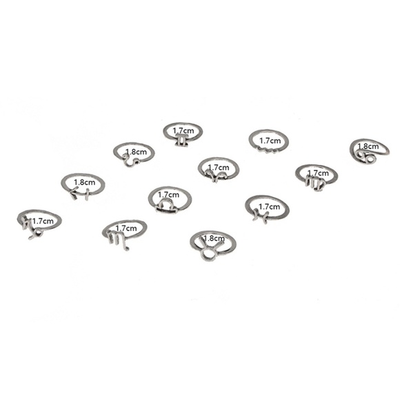 **BRYNN* 12-Pc Silver Zodiac Sign Fashion Ring Set - Picture 6 of 6